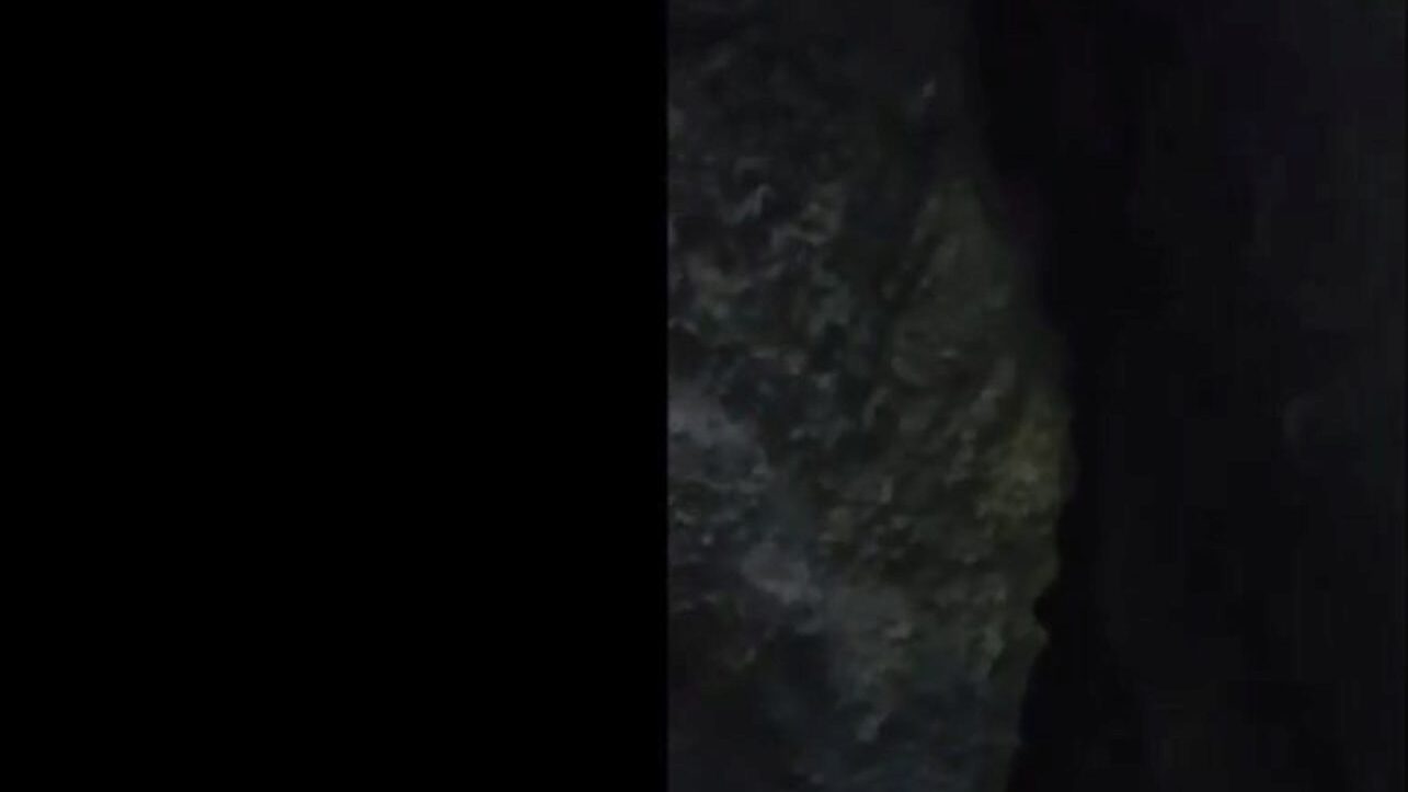 HD Naked suck internal cumshot in the jungle with big monster ramrod