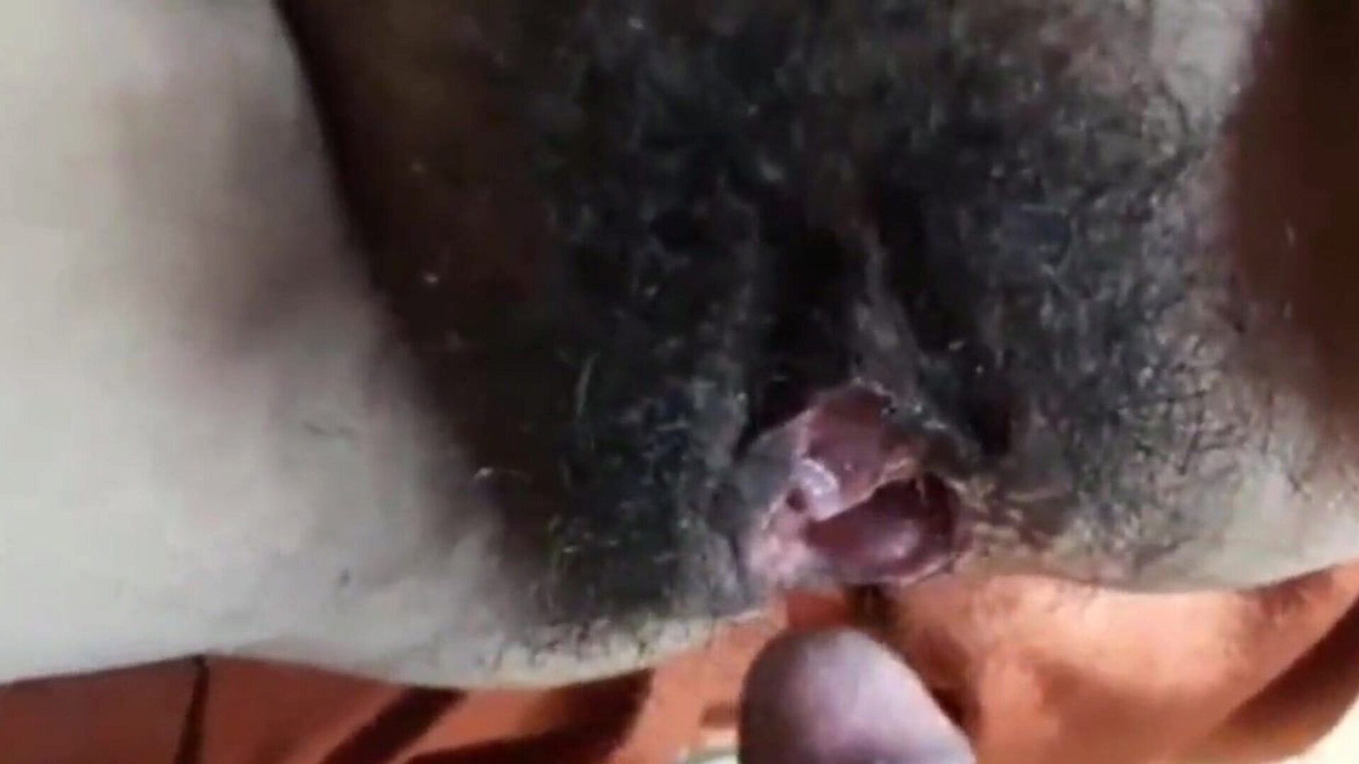 奶奶路易莎80yo巨大的猫，免费的成熟色情b3：xhamster观看奶奶路易莎80yo巨大的猫情节在xhamster上，巨大的高清性爱网站上有很多我想他妈的的X色情影片