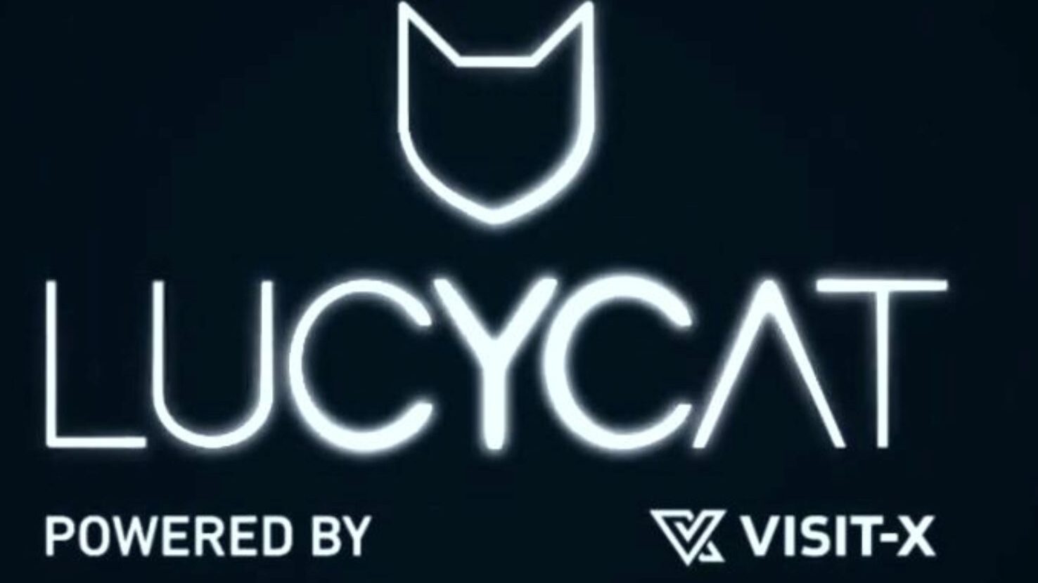 desafio de interatividade - lucy cat